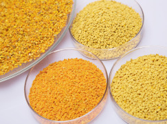 Bee Pollen