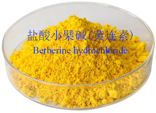 Berberine Hydrochloride 2
