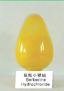 berberine hydrochloride