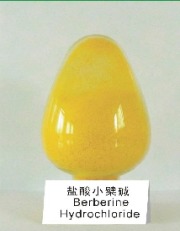 berberine hydrochloride