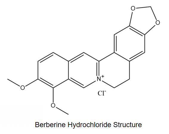 Berberine Hydrochloride(Synthesis)