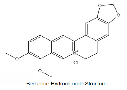 Berberine Hydrochloride(Synthesis)
