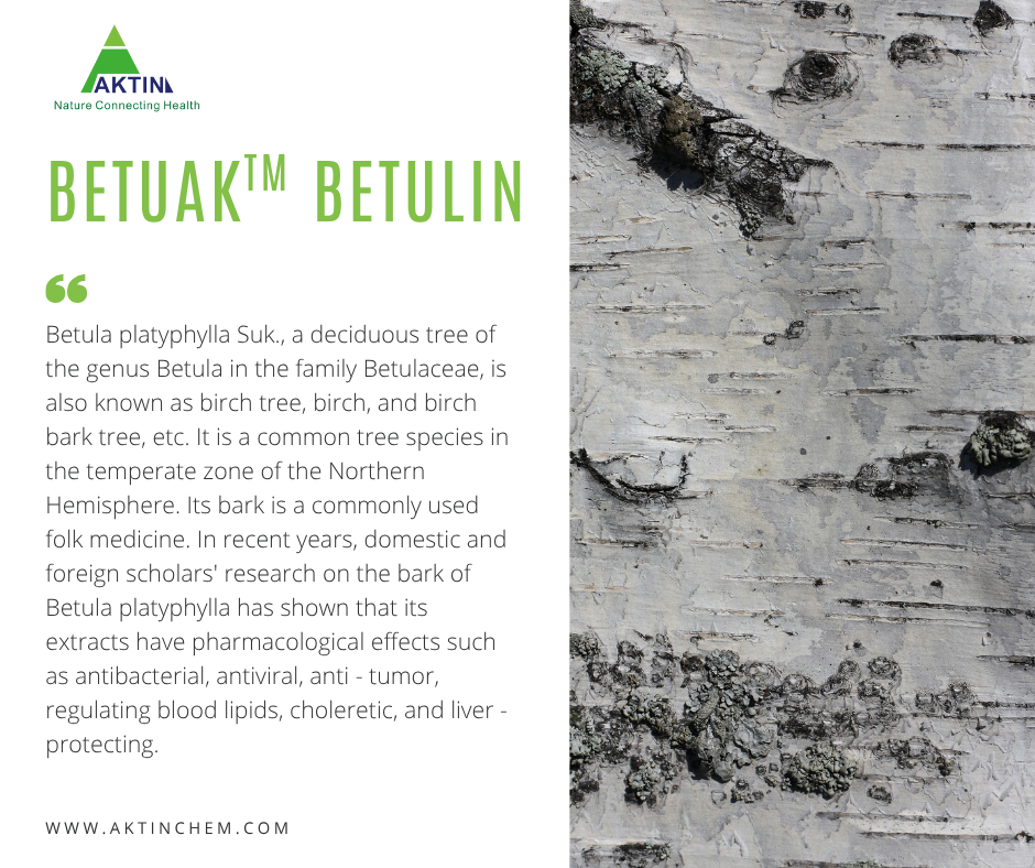 Betuak® Betulin 1