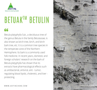 Betuak® Betulin