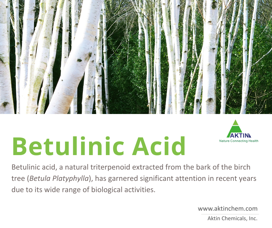 Betuak® Betulinic Acid 1