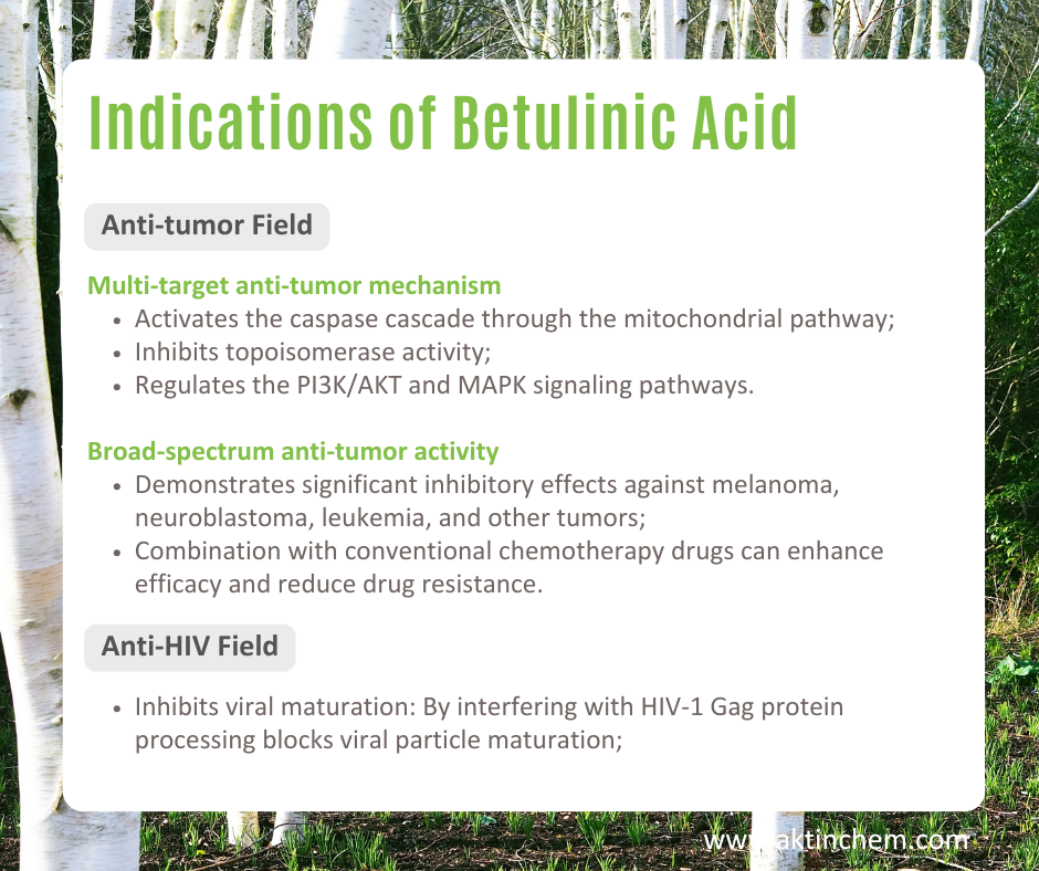 Betuak® Betulinic Acid 3