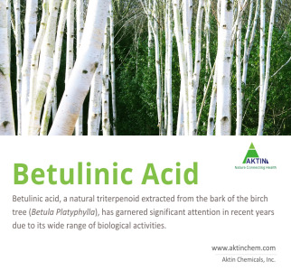 Betuak® Betulinic Acid