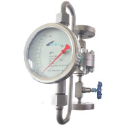 Bfp Series Purge Flowmeter/ Device