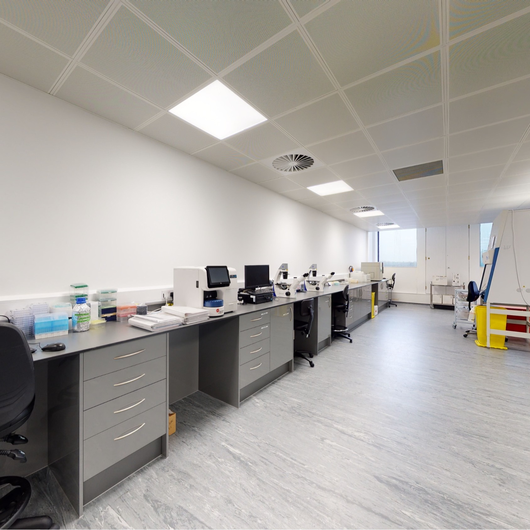 Bioanalysis Services