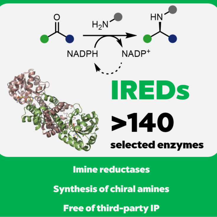 Biocatalytic access to chiral amines