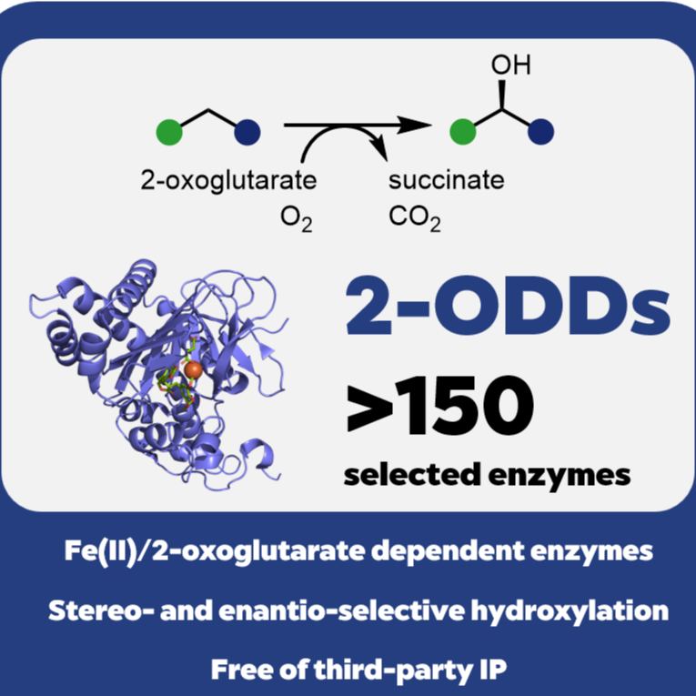 Biocatalytic access to hydroxylated products