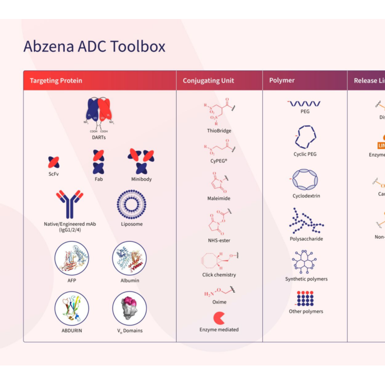 Bioconjugation & Complex Chemistry Development and Manufacturing