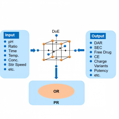 Bioconjugation Process Services