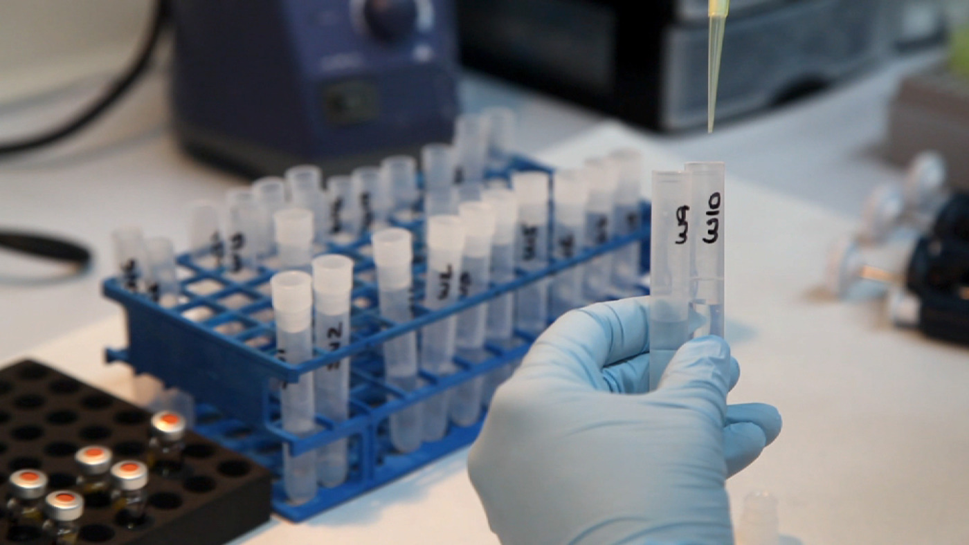 Bioequivalence Studies