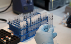 Bioequivalence Studies