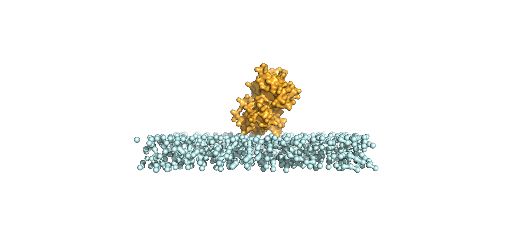 Bioinformatic analysis for enzyme immobilization