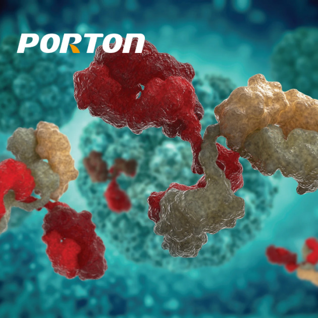Biologics and Conjugates CDMO Services