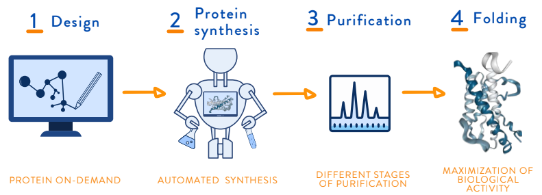 Biologics Chemical Synthesis : Proteins, Peptides and Antibodies 1