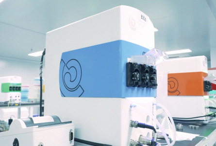 Biologics Development Solutions for Companion Animal Therapeutics