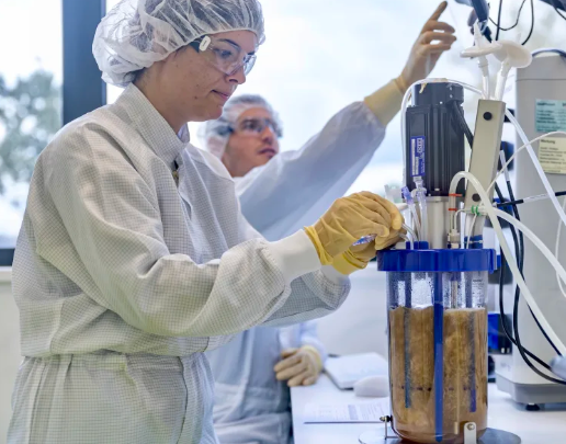 Biomay Austria: Scalable environmental monitoring with testo Saveris 1 2