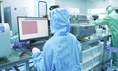 Biomedical and Healthcare Recombinant Protein Solutions