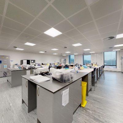 Biopharmaceutical Analytical Development Support