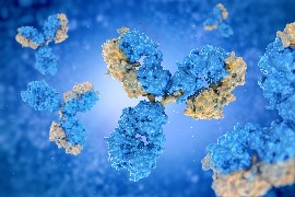 Biopharmaceutical Characterisation and Testing Services 1