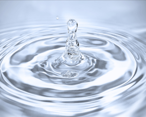 Bioprocessing Solutions