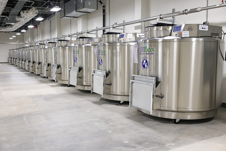 BioServices & Biostorage 2