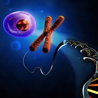 Biotech Portfolio