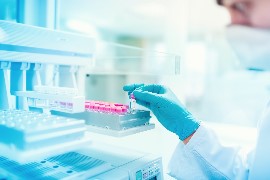 Bispecific Antibody Characterisation