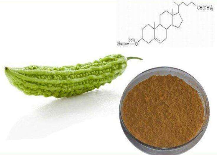 Bitter Melon Extract 3