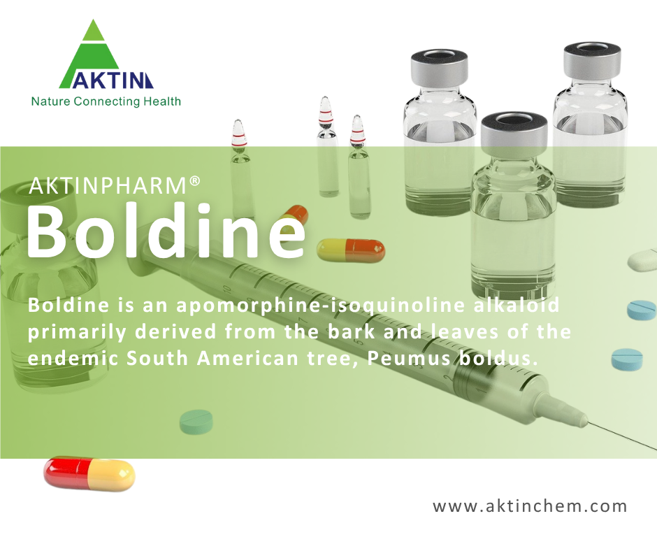Boldine 1