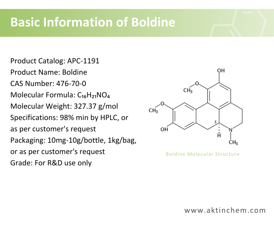 Boldine 2
