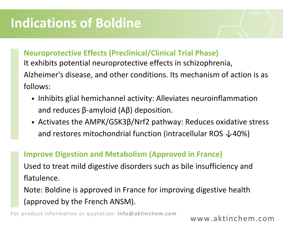 Boldine 3