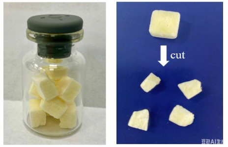 Bone repair material with rhBMP-2 - Bone repair