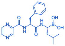 BORTEZOMIB