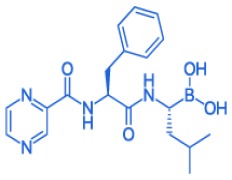 BORTEZOMIB