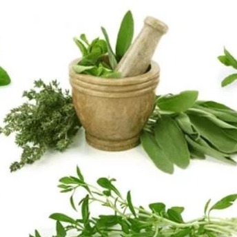 Botanical extracts