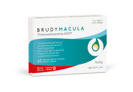 Brudy Macula