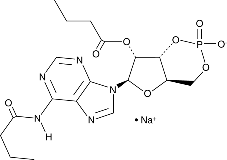 Bucladesine (sodium salt) Ancillary Material