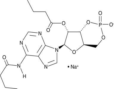 Bucladesine (sodium salt) Ancillary Material