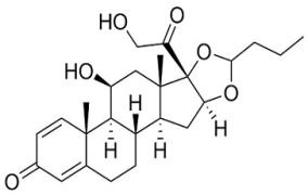 Budesonide Oral & Respiratory grades