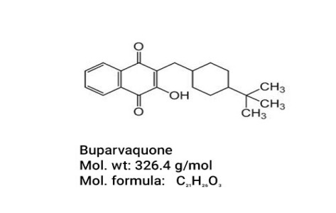 Buparvaquone 