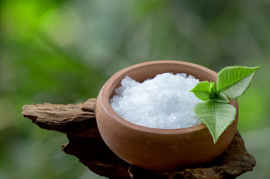 Camphor 1