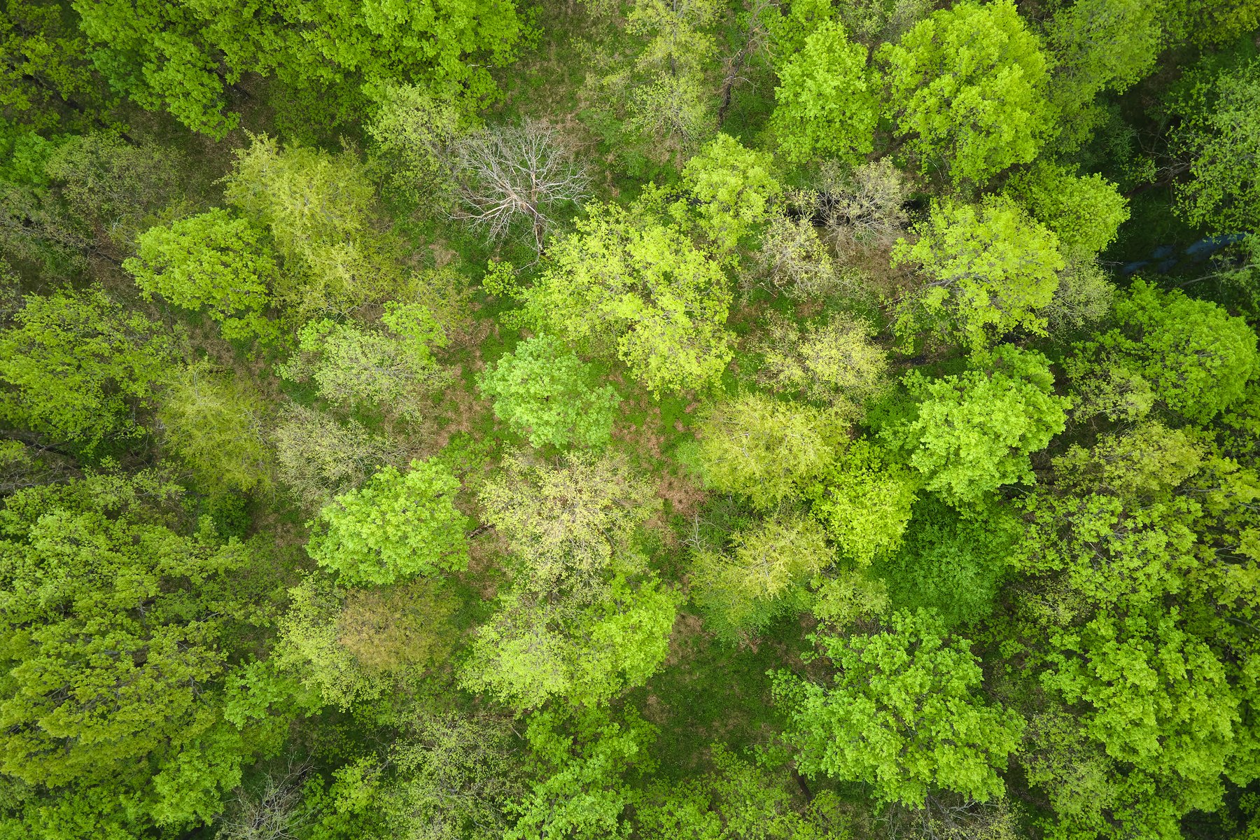 Carbon Neutrality to ISO 14068-1 and Credible Climate Claims