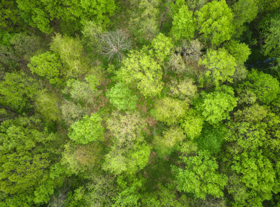 Carbon Neutrality to ISO 14068-1 and Credible Climate Claims