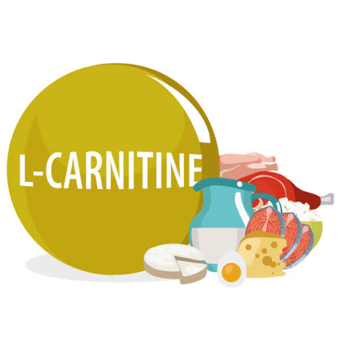 Carnitine series