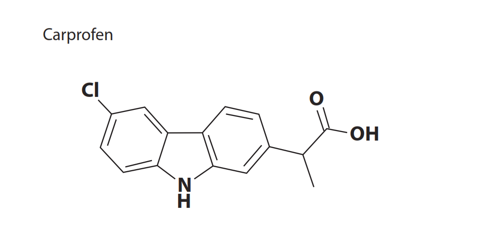 Carprofen