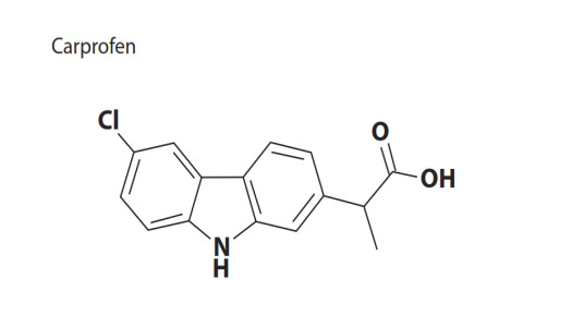 Carprofen